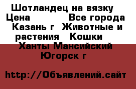 Шотландец на вязку › Цена ­ 1 000 - Все города, Казань г. Животные и растения » Кошки   . Ханты-Мансийский,Югорск г.
